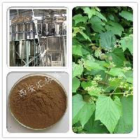 野生葡萄价格 型号 图片