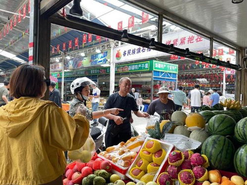 宁夏吴忠 闲置地何以如今人来人往